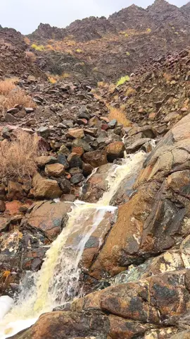 #وادي_الصرمي_الظويهر_الخابوره  #سلطنة_عمان🇴🇲  #تصويري📷  #اكسبلورexplore 