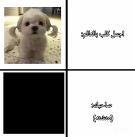 حئيئي😉 .... #مالي_خلق_احط_هاشتاقات🧢 #شعب_الصيني_ماله_حل😂😂 #foryoupage #fyp #pov @احـــمد!🖤 @𝐋𝐲𝐫𝐚♡ @ᵐʳ 𝗰𝗲𝗻𝗱𝗿𝗶𝗹𝗲𝗻🧚🏻‍♀️ @𝑳𝐎𝐈𝐒 . @𝘠𝘰𝘶𝘴𝘦𝘧🥢 @𝐾𝑖𝑙𝑙𝑢𝑎 
