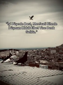 Racon sözler alalım🦅🦅🦅🦅🦅🦅#storilikvideolar📌 #storytime #raconsözlerialalım📌 #story_lik63 #tiktokviral 
