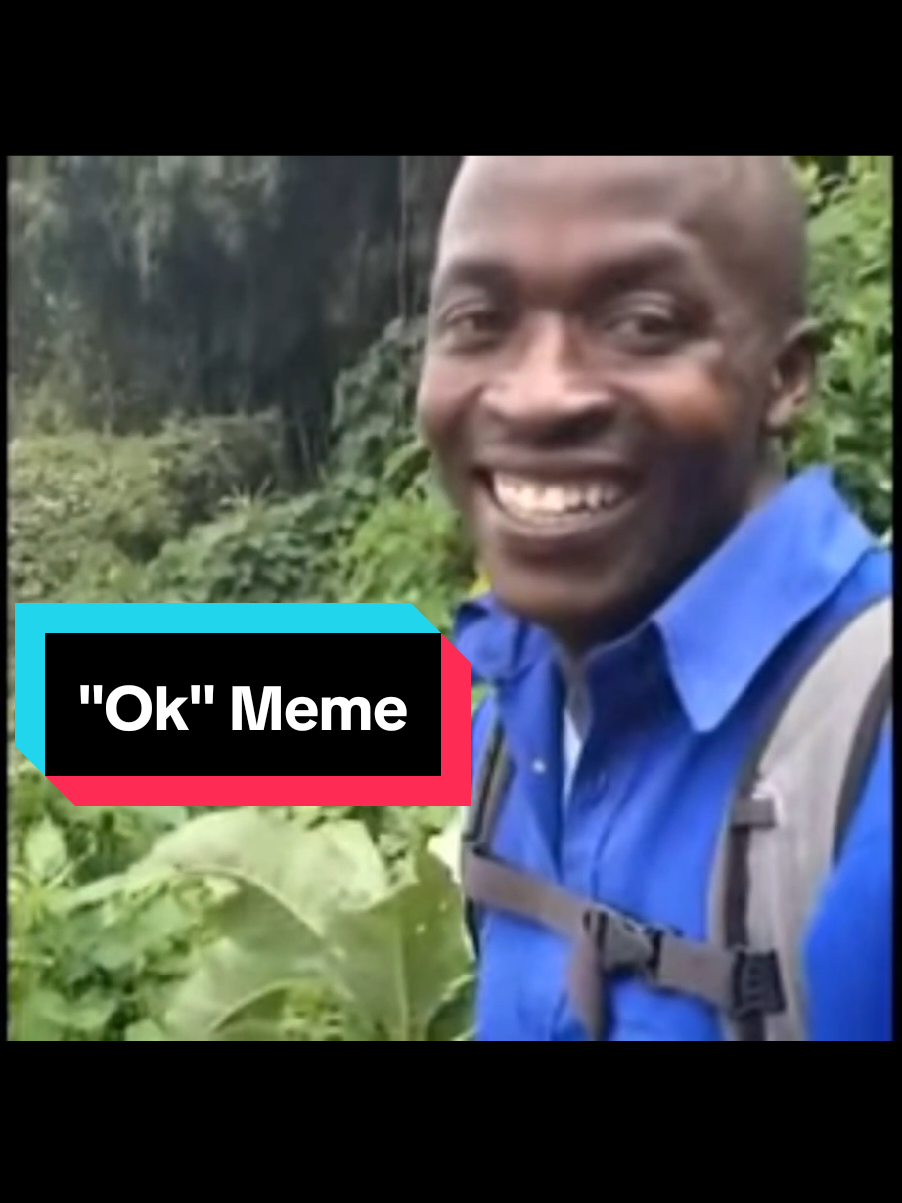 Meme history - Okay Movement are a series of Vine remix videos featuring a clip of a grinning man timidly saying 