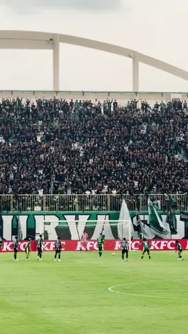 euforia hari ini💚 #pss #psssleman #bcsxpsssleman 