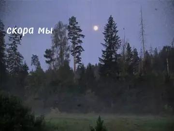 #fyp #мутантъхвлам 