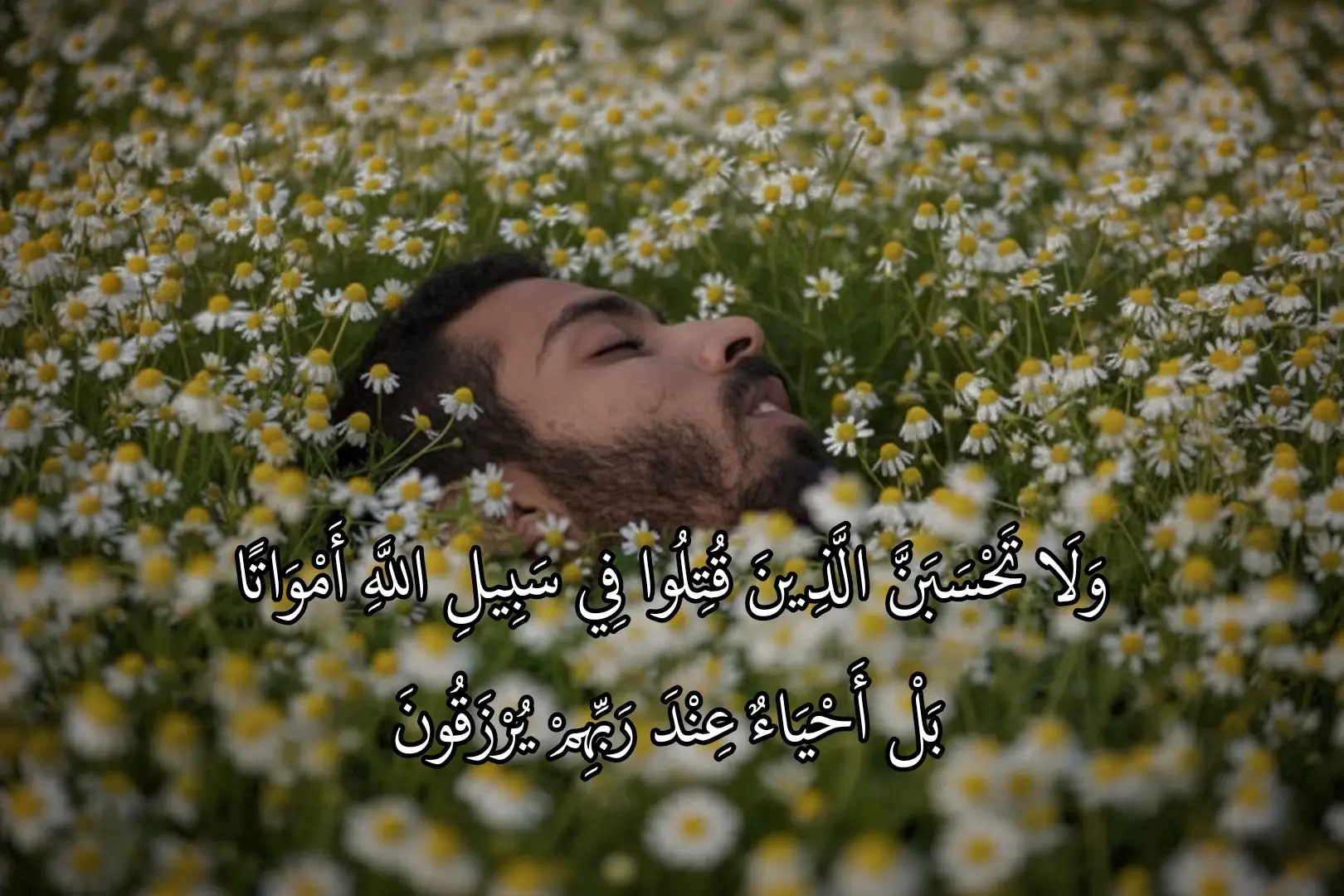 #صالح_الجعفراوي 