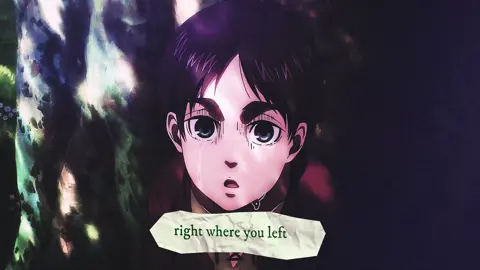 #eremika 😞 — scp aexlaris — it actually contains two perspectives and eren’s pov starts when the text becomes green and ok im obsessed with them also sorry for not posting sat destroyed me and my mental health  — #eremikaedit #erenjaeger #attackontitanedit #mikasaackerman  