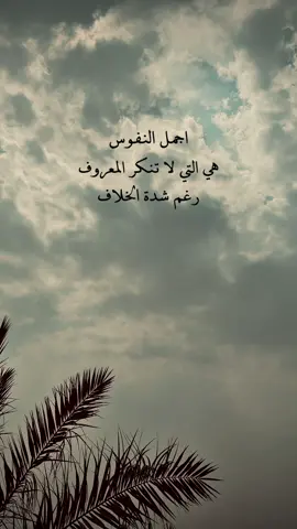 اجمل النفوس هي التي لا تنكر المعروف رغم شدة الخلاف #تصويري_احترافي_الاجواء👌🏻🕊😴 #تصويري📷 #غيوم #الشتاء #لايك_متابعه_اكسبلور 