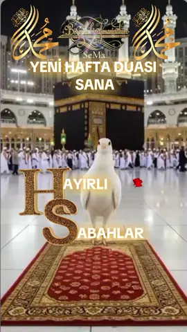 YENİ HAFTAYA Bismillahirrahmanirrahim🤲📖🤲📖#nadire31 