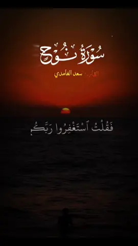 سورة نوع ..🤍#قران #سعد_الغامدي #quran #foryou 