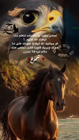 إجلس بعيدا وشاهدهم لتعلم لماذا أبعدك الله عنهم .! قد يبتليك الله ليفتح عيونك على ما حولك ويريك قلوبا كانت تخفى عنك مالم تره فلا تحزن #اكسبلورررررررررررررررررررر💥🌟💥🌟💥💥🌟🌟🌟🌟🌟 #لايكات_الاكسبلور_متابعه #ابشرك #هشتاقات  @@jfsh_123  @@jfsh_123  @@jfsh_123 