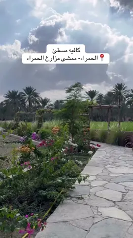 موقع الكافيه جميل جداً وسط المزارع والمسطحات الخضراء والبرك المائيه 😍#ولاية_الحمراء #محافظة_الداخلية #كافيهات #مزارع_الحمراء #اكسبلور 