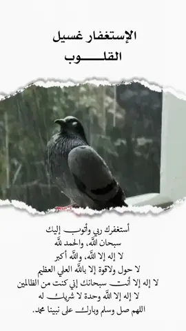 #مواعظ_مؤثرة #قران_كريم #استغفارك__تفريج__همك #ذكر_الله 