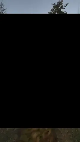 can you tell i love the mehndi hannah did for me??😉 highkey OBSESSED with this song. #mehndi #desi #fyp #saiyaara #pakistani 