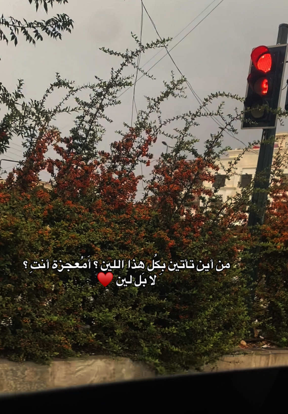 #لين  #من_دون_موسيقى  #اكتب_شي_توجر_عليه  #ستوريات_انستا  #اكسبلور  