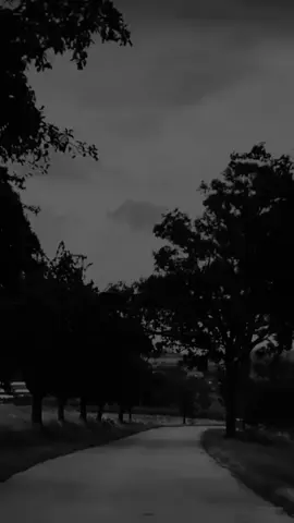 شسويت بيه انتَ شسويت 