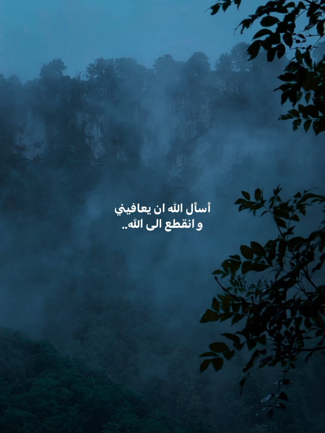 يارب لا طاقة لي على البلاء#الشيخ_احمد_الوائلي 