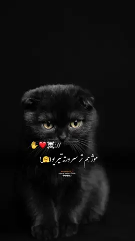#CapCut Hu sir 🤚❤️‍🩹 #تمپلیت_جدید ســوک چې زموژ پر سر نګ کوې 🫂🖤#تمپلیت_جدید #رپ_پشتو رپ_فارسی اهنګ_پشتو اهنک_افغانی  اهنک_ایران_غمگین_غاشقان creatorsearchinsights #oo__3salar_afg 
