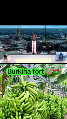 Culture de banane plantain à Dendougou 🇧🇫💫#BurkinaFaso #revulution #banane #afrique #creatorsearchinsights 