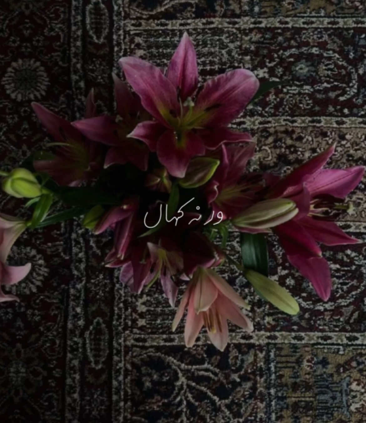 40/50 of posting vocals only | Ana ost | dard itna diya tuny | without music  #explore #explorepage #fyp #foryoupage #fyppppppppppppppppppppppp #viral #vocals #withoutmusic