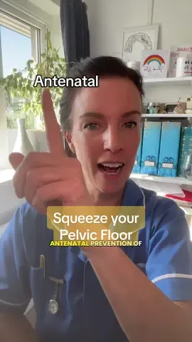 The pelvic floor is a sling of muscles that form the bottom of the pelvis, supporting our pelvic organs. It becomes weaker during pregnancy and birth but it can be strengthened with practice. Squeeze that pelvic floor! #labourandbirth #birth #childbirth #childbirthconcerns #pelvicfloor  