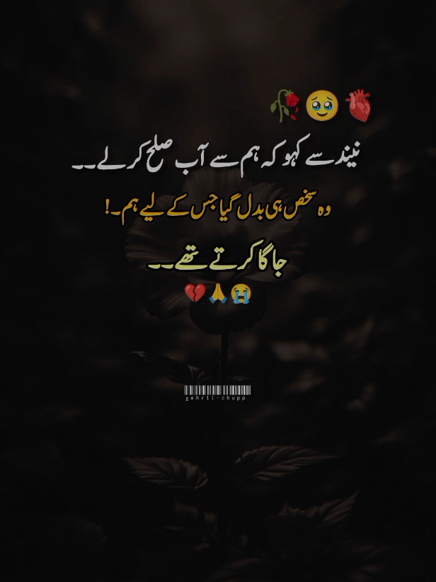 #viewsproblem 🥀🥹🙏😭#saidpoetry #urdupoetry #gehrii_chupp8 #unfrezzmyaccount 