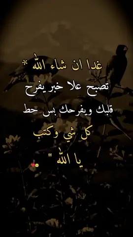#عبرات #ريكو #دينيه #اعده_نشر🔁تعلمت #اكتباسات_تفائل✔♡ 