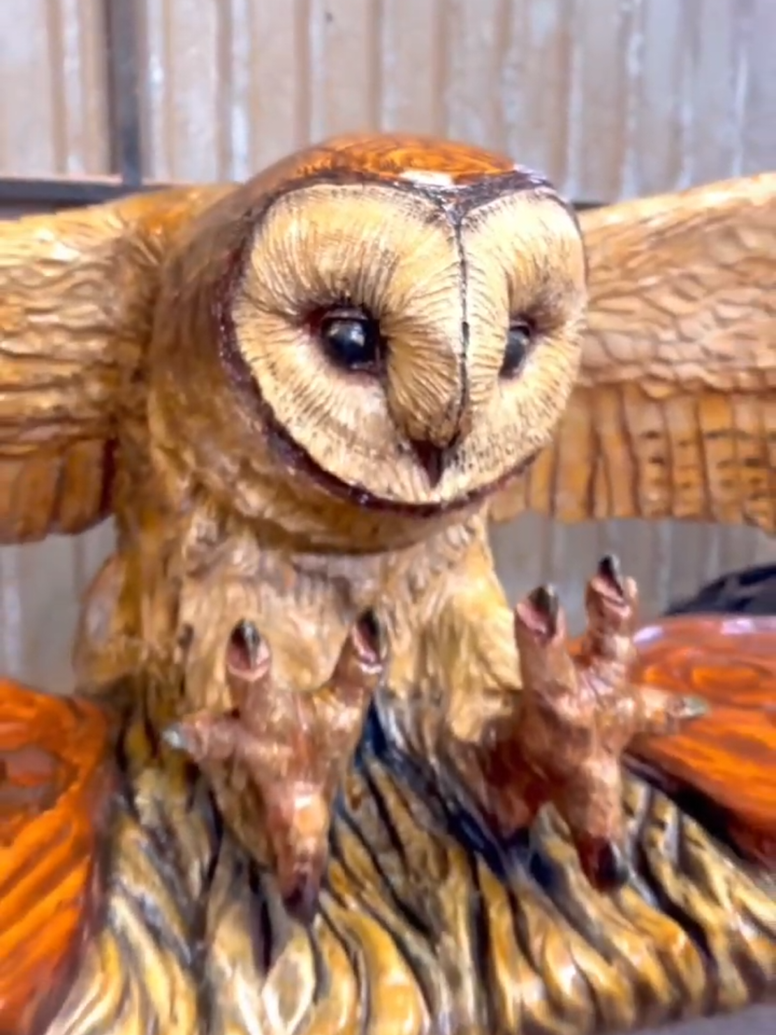 I knew I should admire the owl's hunting skills, but I couldn't help but feel sorry for the mouse. (James Elliott, készítette) #fypシ゚ #tik #friends #forever #foryou 