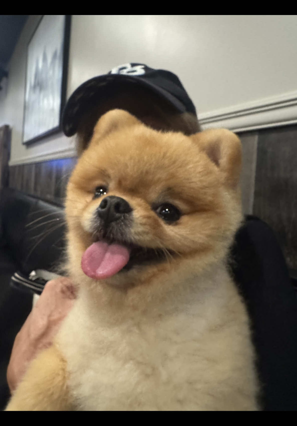 Tulus on the runway👟