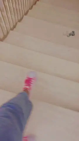 كلب ومات F مكسده عليك 😂😂😂😂😂😂