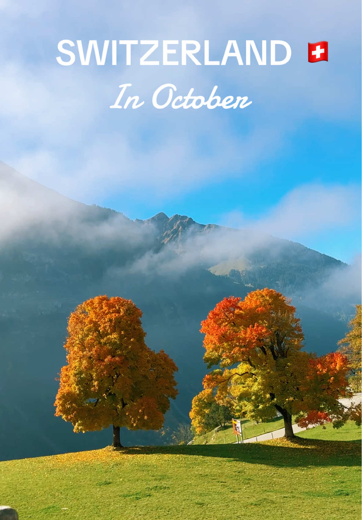 BEAUTIFUL SWITZERLAND 🇨🇭 in AUTUMN 🍂 BEST ROADS IN SWISS ALPS: JUNGFRAU REGION 📍Roadtrip Switzerland #creatorsearchinsights#switzerland#jungfrau#roads#swissalps