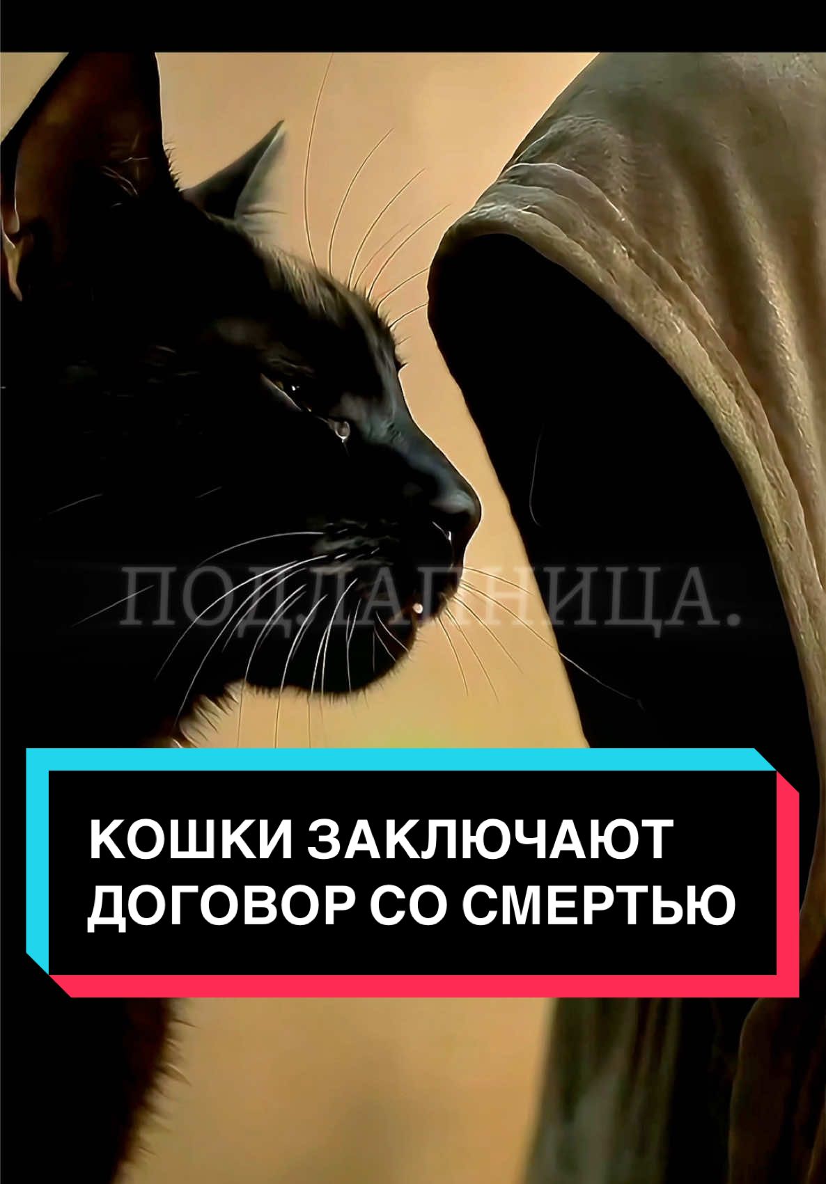 Учёные давно изучают поведение кошек рядом с умирающими людьми. Есть зафиксированные случаи, когда кошка за несколько часов до смерти хозяина ложилась на него и больше не вставала. Мурлыканье на частоте 25–150 Гц считается лечебным. Но что, если это не просто звук?.. А вы верите, что кошки могут заключить договор со смертью? #мистика #кошки #договорсосмертью #котулетел #подлапница 