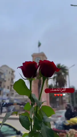 ادلب 🥹❤❤🌧 #سوريا_تركيا_العراق_السعودية_الكويت_عمان #الشعب_الصيني_ماله_حل😂😂 #CapCut #تصميم_فيديوهات🎶🎤🎬 #ادلب 