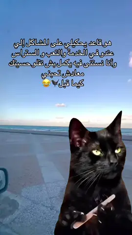 #Meme #MemeCut 🐦‍⬛😂🏹