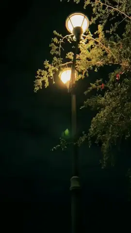 اسيبك والسبب علي سايب