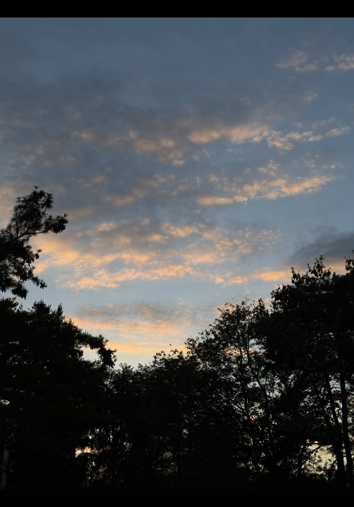 Domingo de descanso decían.. 😂🤣 quién más anda igual?🙌🏼 #momlife #momtok #creatorsearchinsights #funnyvideos 