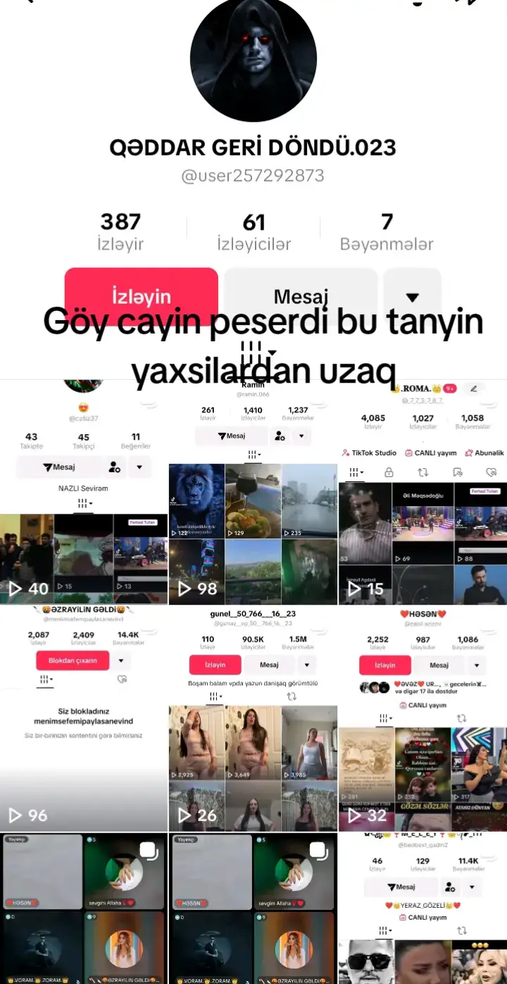 yaxsilardan uzaq Göy cayin pesəridir bu