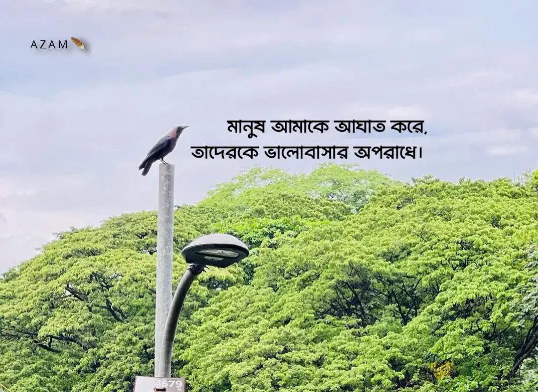 #for #foryou #foryoupage 