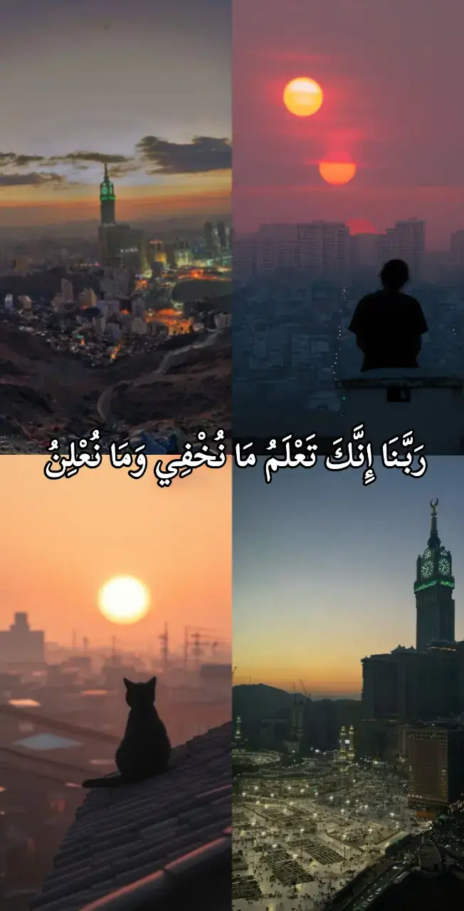 تلاوة خاشعة ومؤثرة من القارئ احمد النفيس  #تلاوة_خاشعة #قران #quran #احمد_النفيس #خشوع 