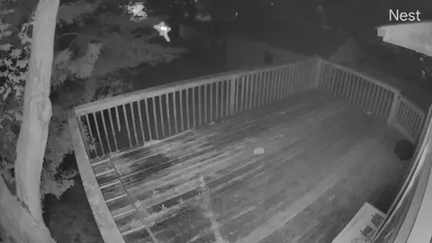 Fr…wtf is that?? #fyp #spooky #unknowncreature #ringcamera #upstateny 