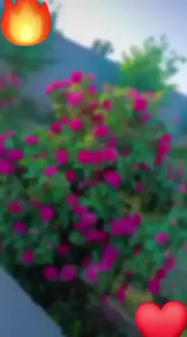 #يامحله-ريحة#الشتاء ☺️☺️😚😚