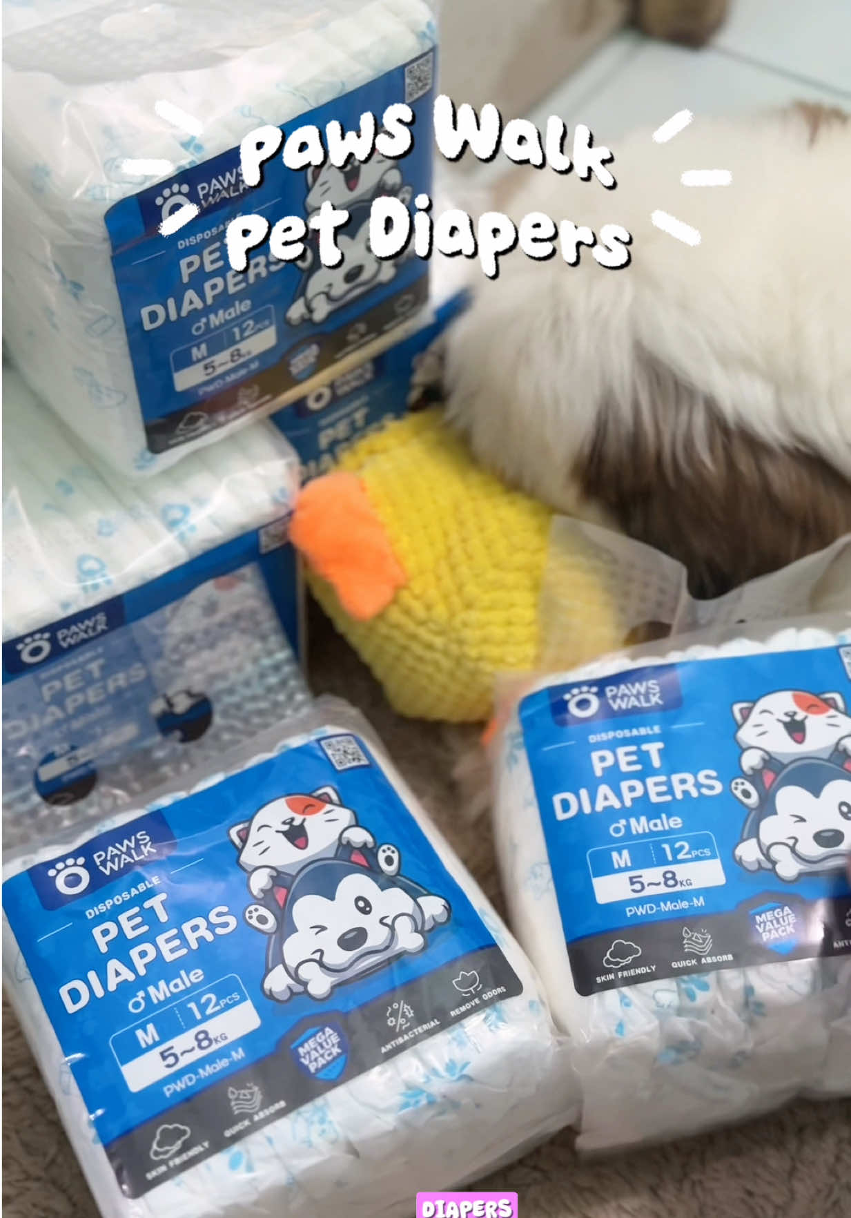 Paws Walk diaper has been part of our routine since last year 🐶 Still my go-to for comfort and cleanliness kasi quality talaga! #petdiaper #petessentials #dogdiaper #dogsoftiktok #doglifestyle 