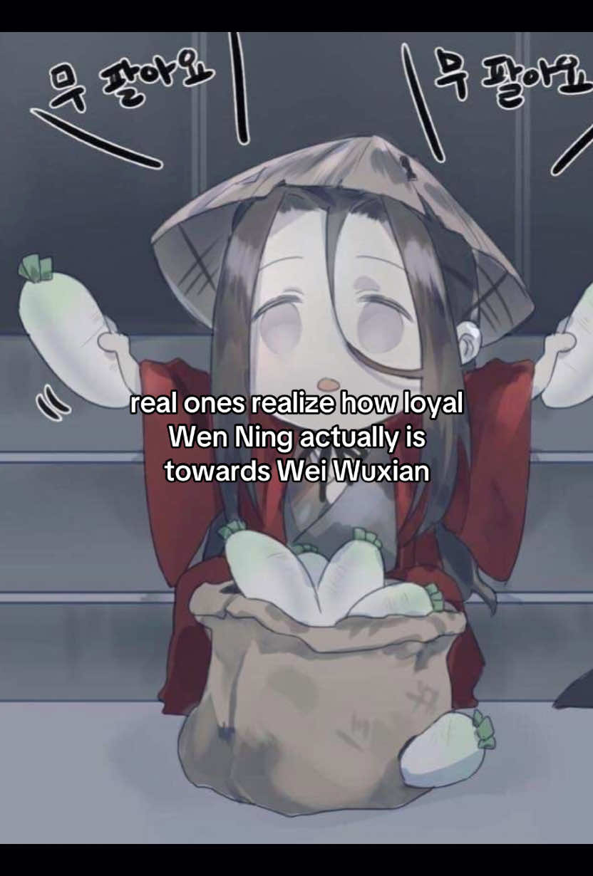 — #wenning . I love him sm he’s such a cutie pie . #weiwuxian #mdzs #cute #fyp 