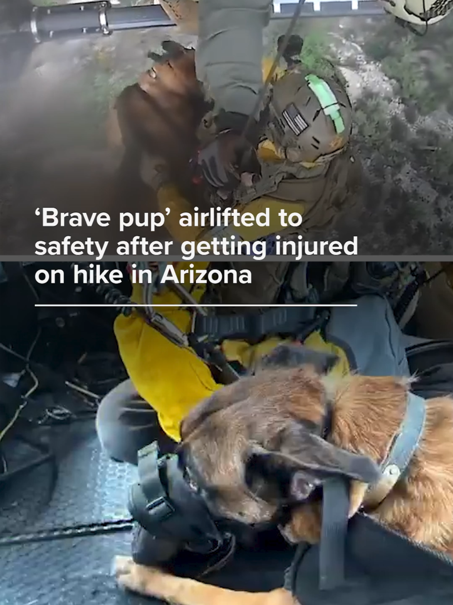 Authorities in Arizona shared video of a 