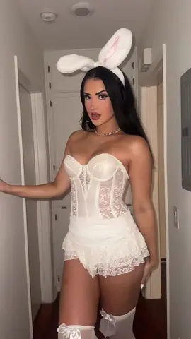 ❄️❄️❄️🐰🐰🐰 #halloween#whiterabbit#bunny