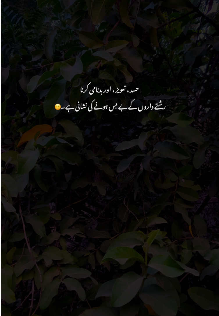 🙂💯#fyp #grow #poetry #viralvideos #aestheticvideos 