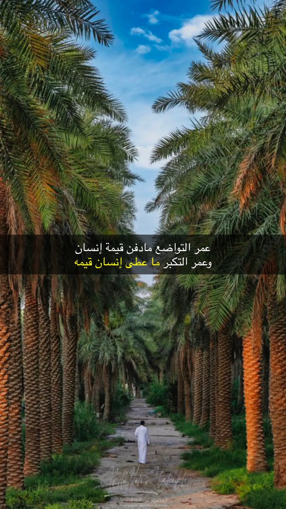 #قصائد_شعر_خواطر_غزل_مجرد_ذوق 