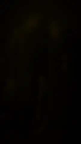 Nhạc vui quá vui #damcuoitv #damcuoi #nhacdamcuoi #damcuoivui #trenddamcuoi 