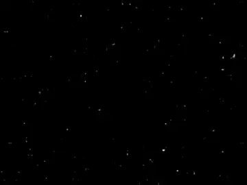 عيلة كلها مهيسه 😂😂  #حوده_شيبه #تصميمات_حوده_شيبه #لايفات_مشاهير #محمود_شيبه #حوده_شيبه_الواجهه @حوده شيبه 