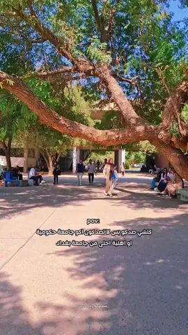 جمال جامعة بغداد ب٣٠ ثانية 🤍