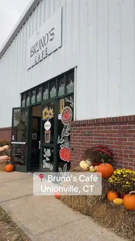 The cutest coffee shop #ct #coffeetok #unionvillect #fallinct 