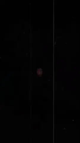 #fypviraltiktok🖤シ゚☆♡ #fyppppppppppppppppppppppp #viral #viralvideo #unfrezzmyaccount 