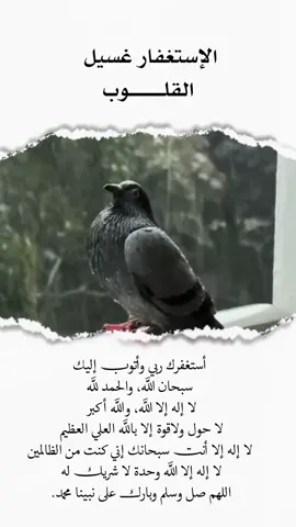 #قران_كريم #اكسبلور #السعودية #ترند 